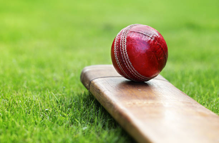 image-cricket for match